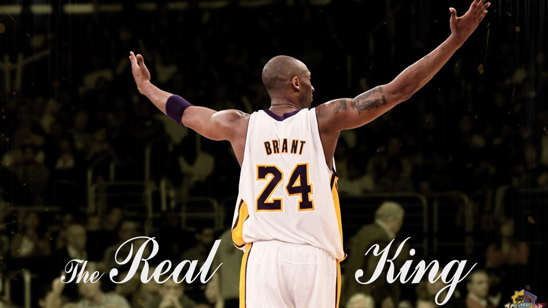 圣光镇麦迪逊，爱德华兹以唯一解法破译尼克斯，太阳的胜利密码名为孤胆